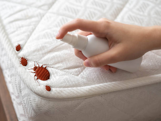 Best Bed Bug Extermination  in Highland Lakes, AL